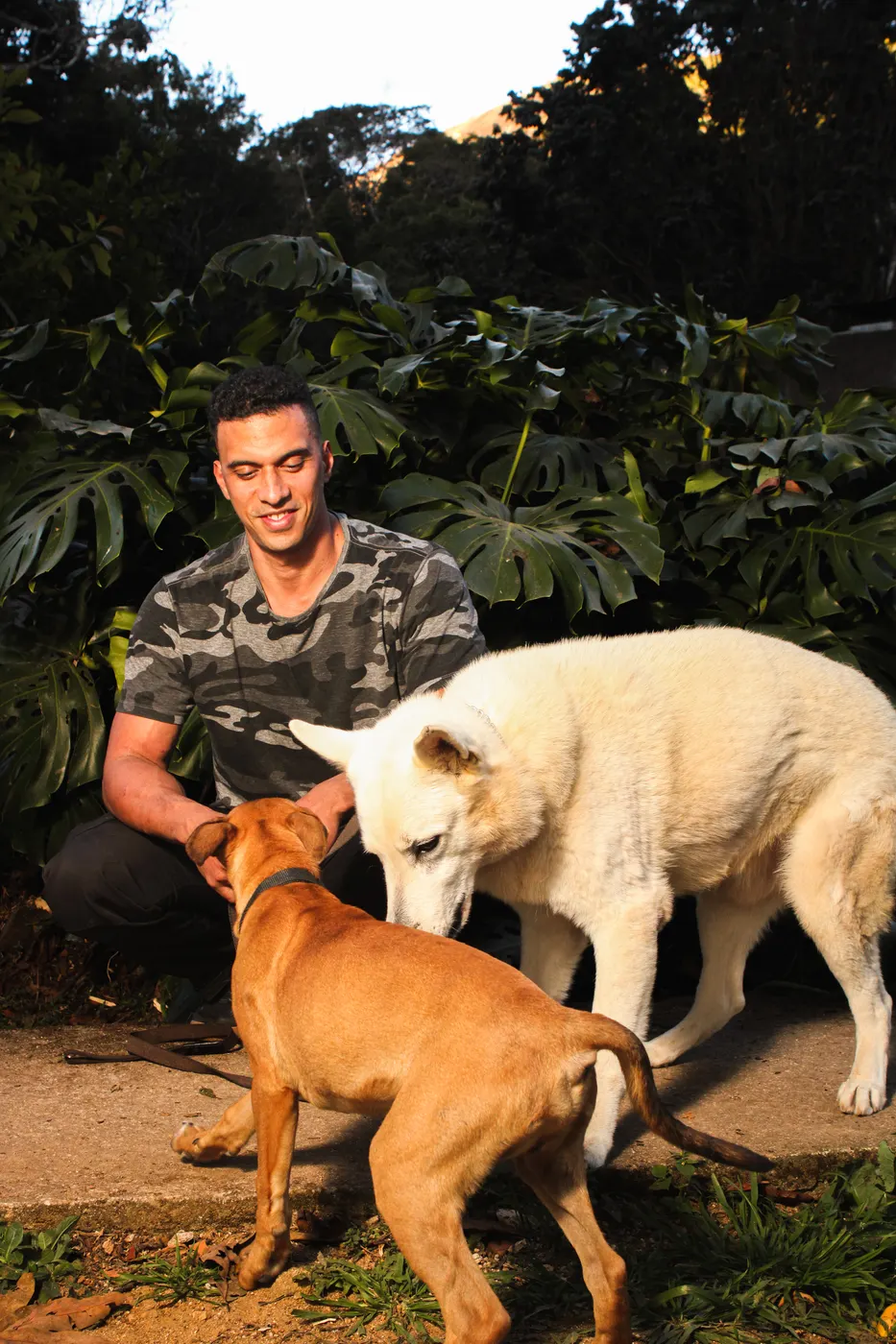 João Ramos com dois cães, em tom acolhedor